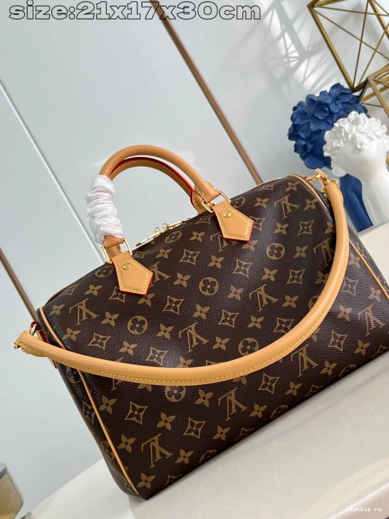 WIS Speedy 30 Vuitton Louis Soft Crafty 0211
